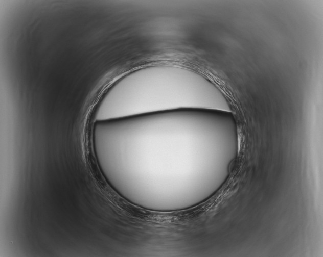 X0000096170339200801180834