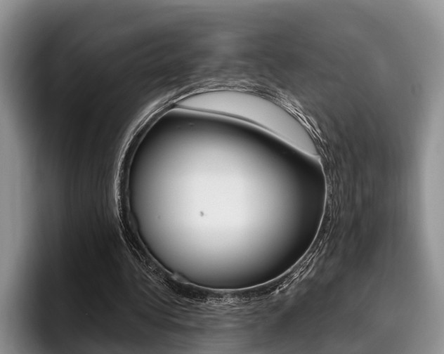 X0000096170340200801180834
