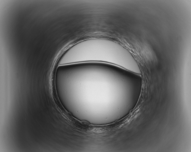 X0000096170341200801180834