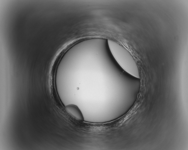 X0000096170342200801180834