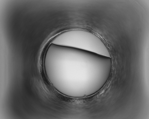 X0000096170343200801180834