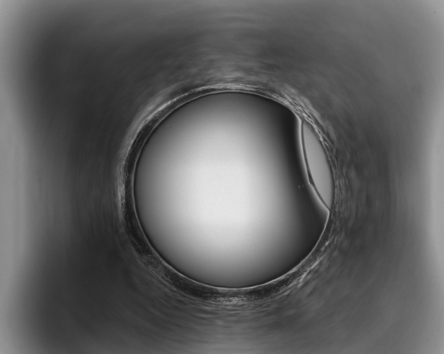 X0000096170344200801180834