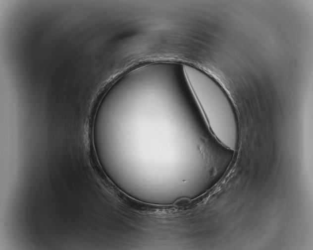 X0000096170345200801180834