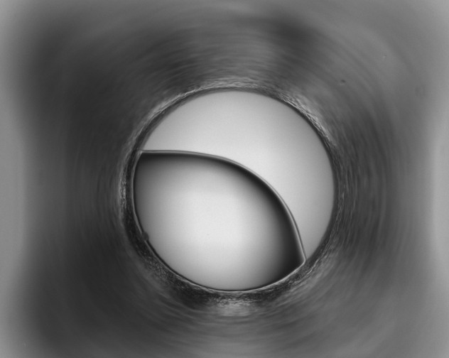 X0000096170348200801180834
