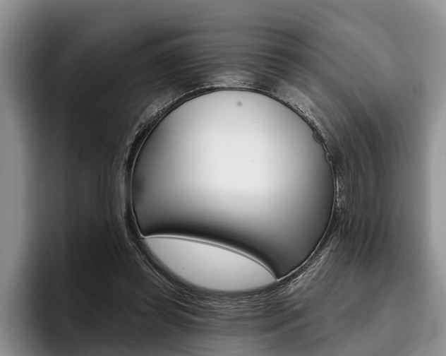 X0000096170349200801180834