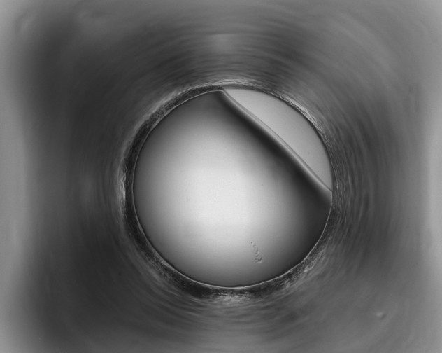 X0000096170350200801180834