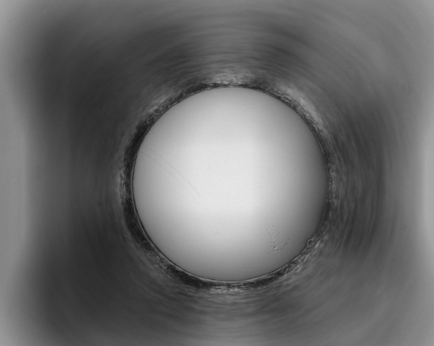 X0000096170354200801180835
