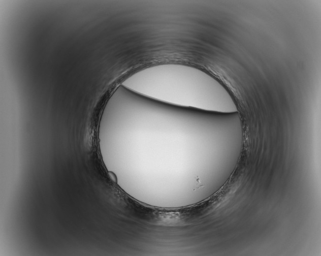 X0000096170355200801180835