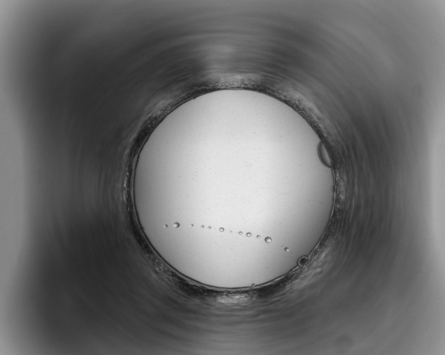 X0000096170357200801180835
