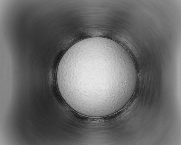 X0000096170359200801180835