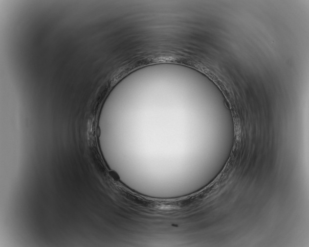 X0000096170360200801180835