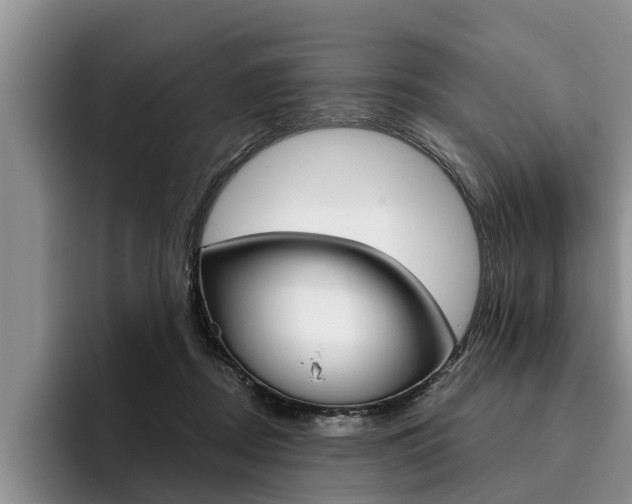 X0000096170362200801180835
