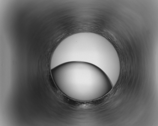 X0000096170364200801180835