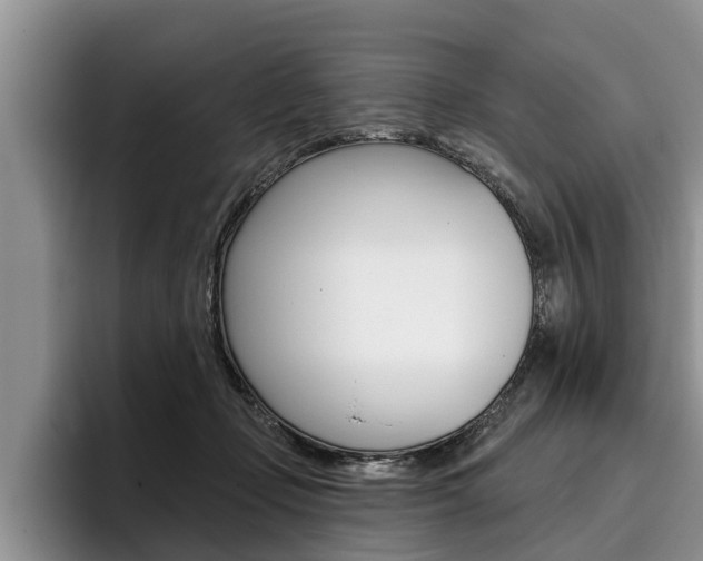 X0000096170365200801180835