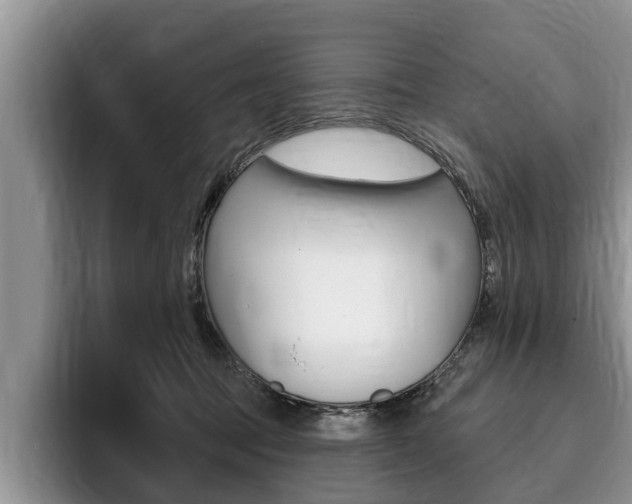 X0000096170369200801180835