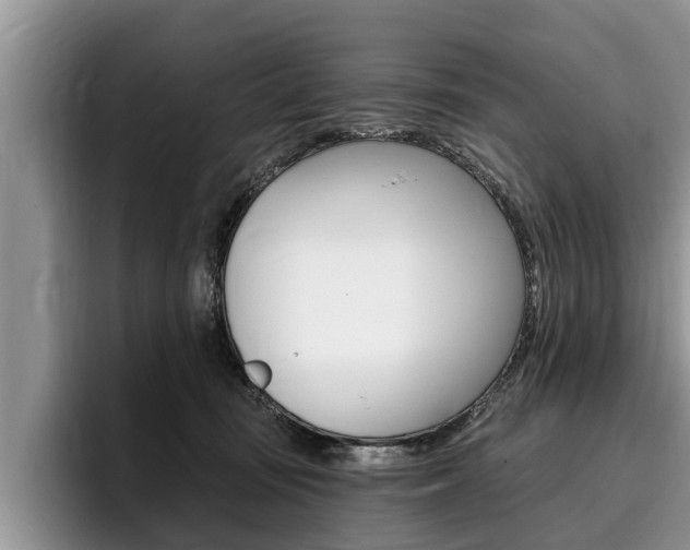 X0000096170371200801180835