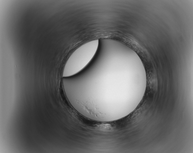 X0000096170374200801180835