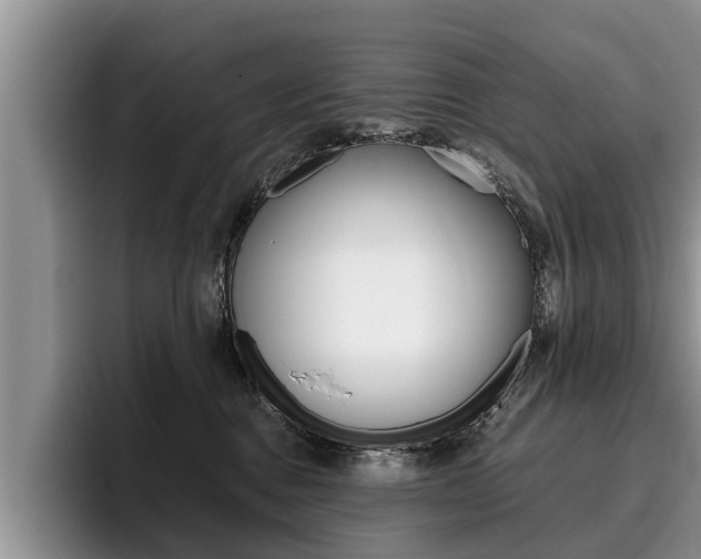 X0000096170376200801180835