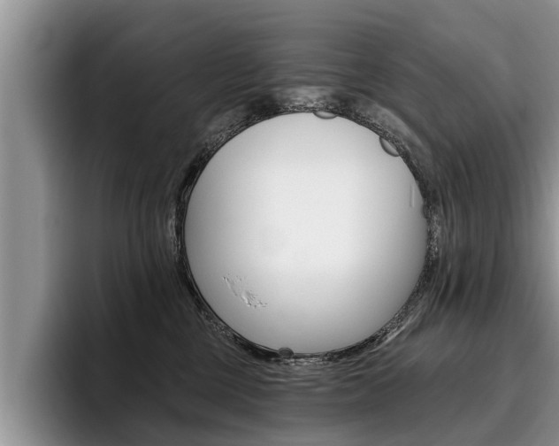 X0000096170377200801180835
