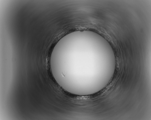 X0000096170378200801180835