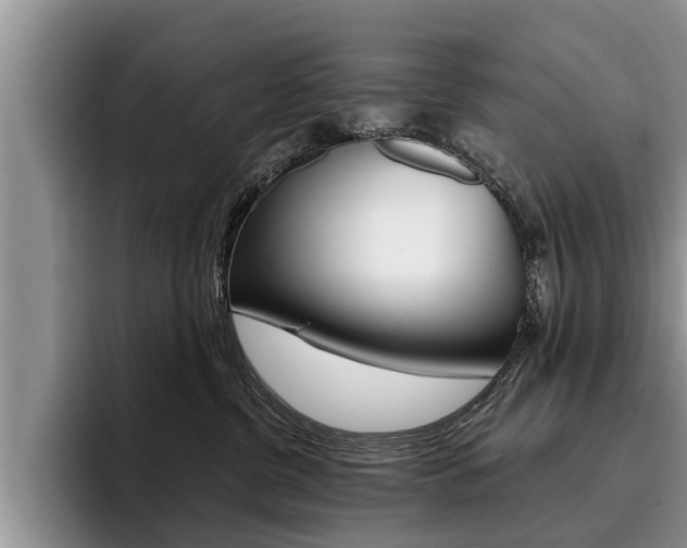 X0000096170380200801180835