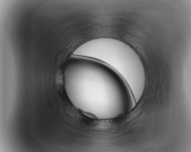 X0000096170384200801180835