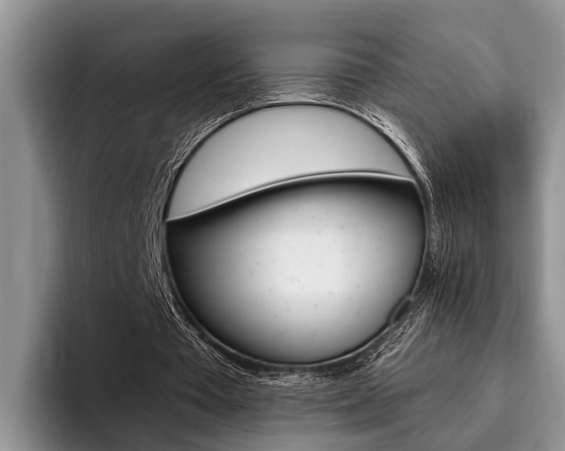 X0000096170385200801180834