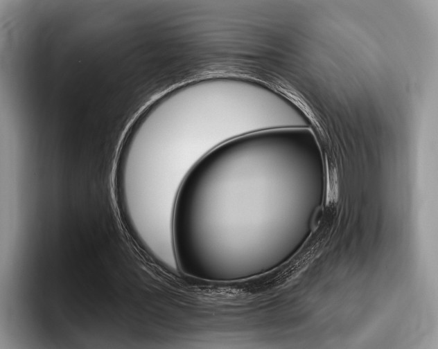 X0000096170387200801180834