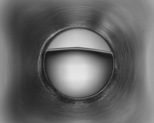 X0000096170388200801180834