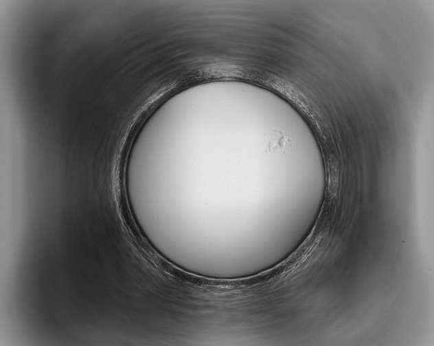 X0000096170390200801180834