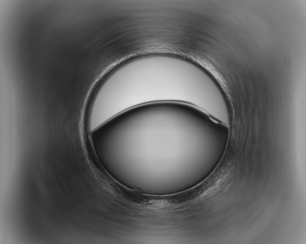 X0000096170391200801180834