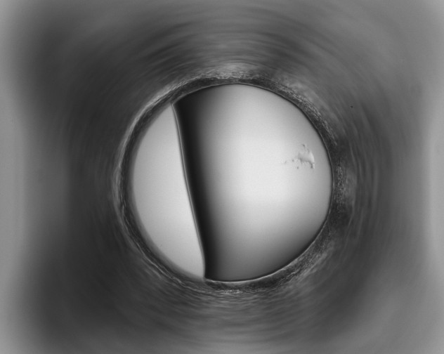 X0000096170392200801180834
