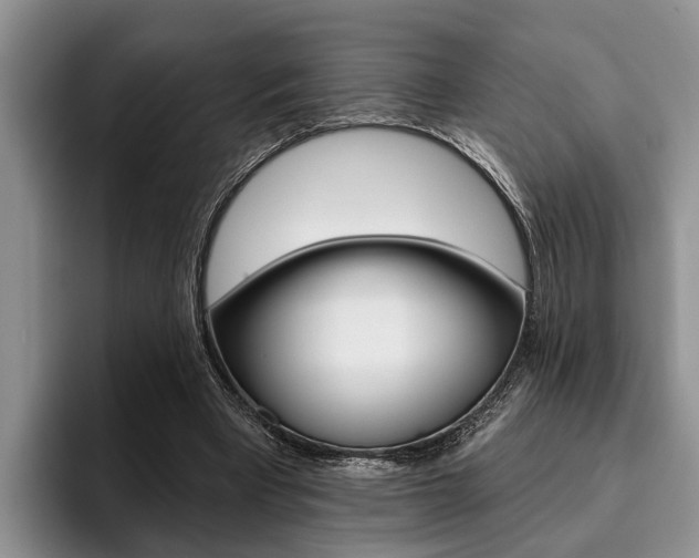 X0000096170393200801180834