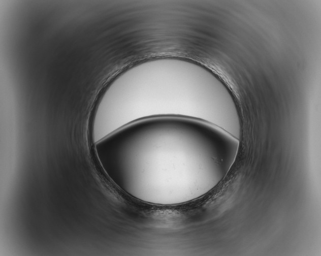 X0000096170397200801180834