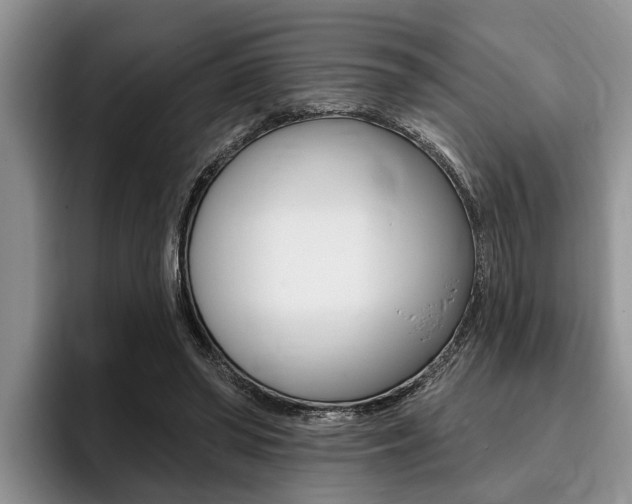 X0000096170398200801180834
