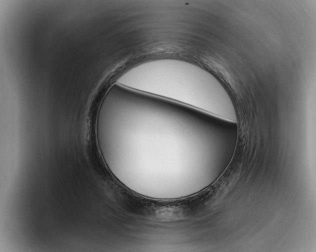 X0000096170400200801180834