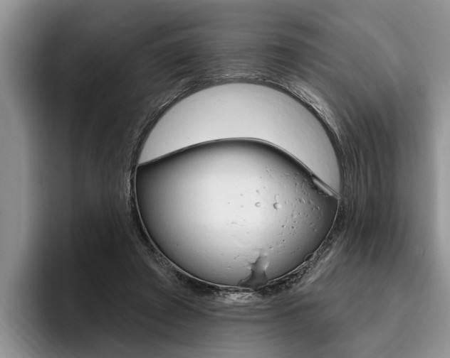 X0000096170401200801180834