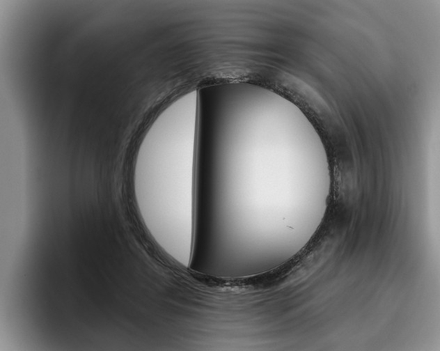 X0000096170404200801180834