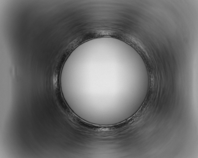 X0000096170406200801180834
