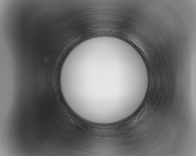 X0000096170407200801180834