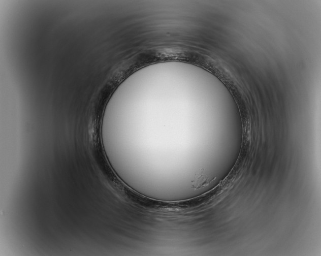 X0000096170408200801180834