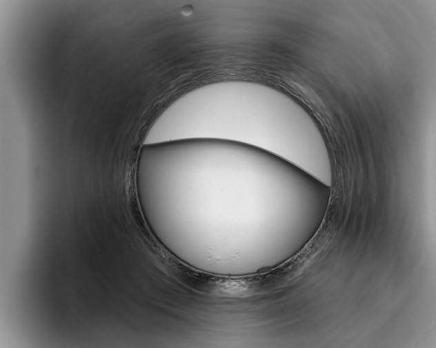 X0000096170409200801180834