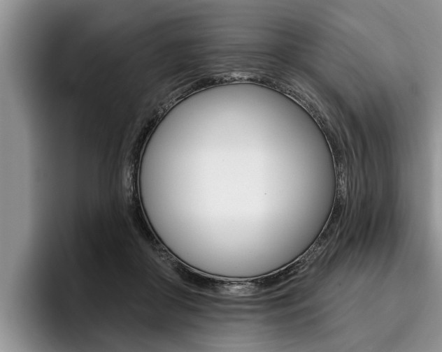 X0000096170410200801180834