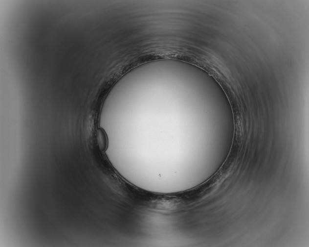 X0000096170412200801180834