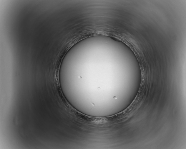 X0000096170415200801180834