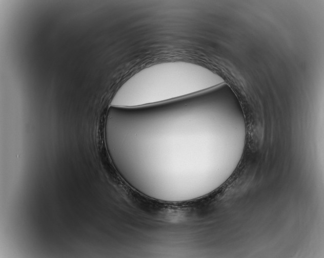 X0000096170416200801180834