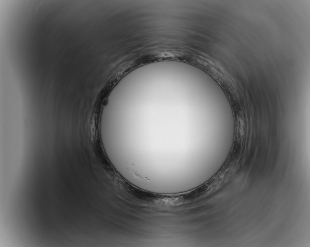 X0000096170422200801180834