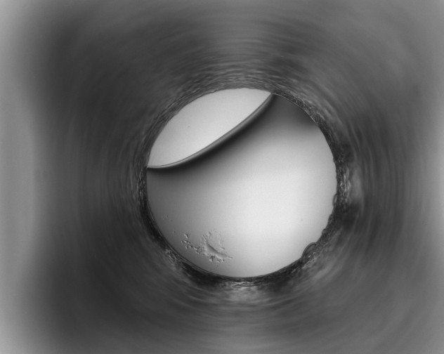 X0000096170424200801180834