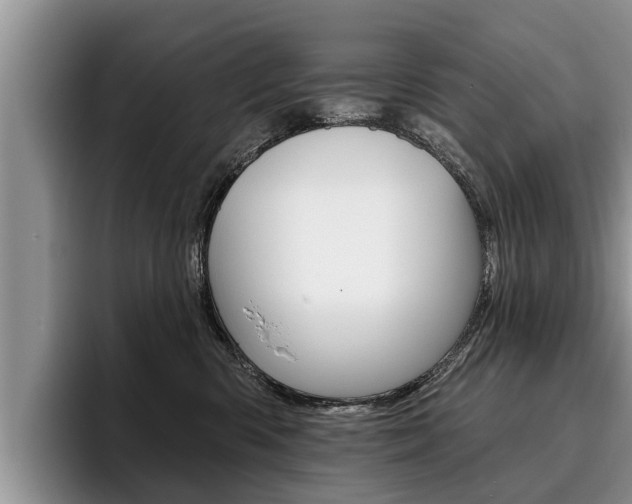 X0000096170426200801180834