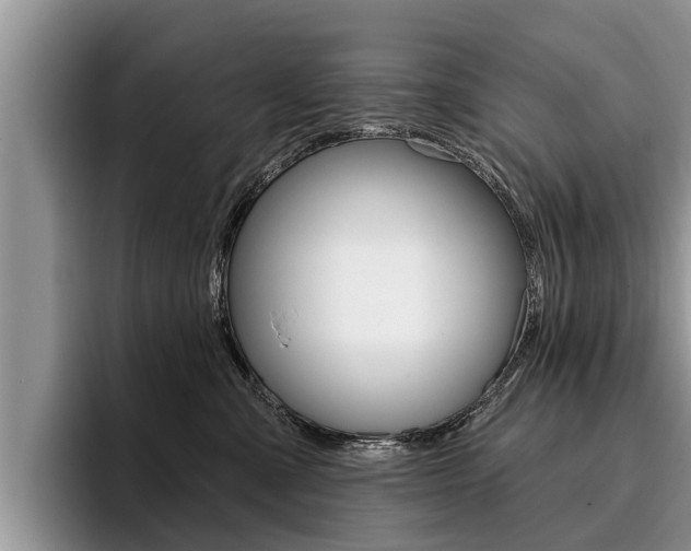 X0000096170427200801180834